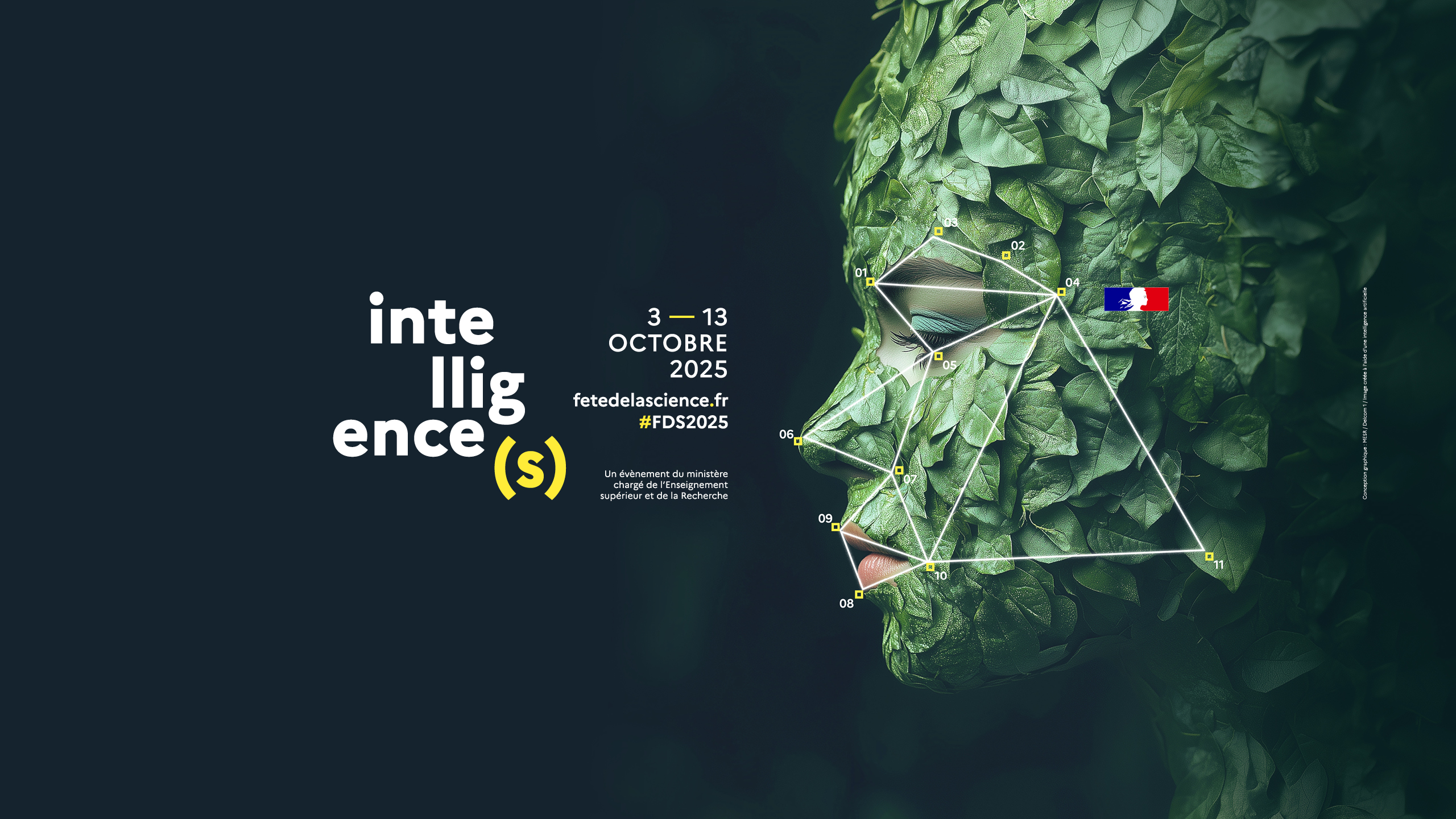 Image d'illustration