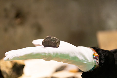 Photo - « Qu’est-ce que les astéroïdes ont à nous dire ? »