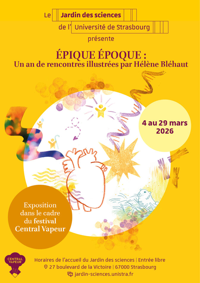 Illustration de l'exposition « Un an de rencontres illustrées par Hélène Bléhaut »