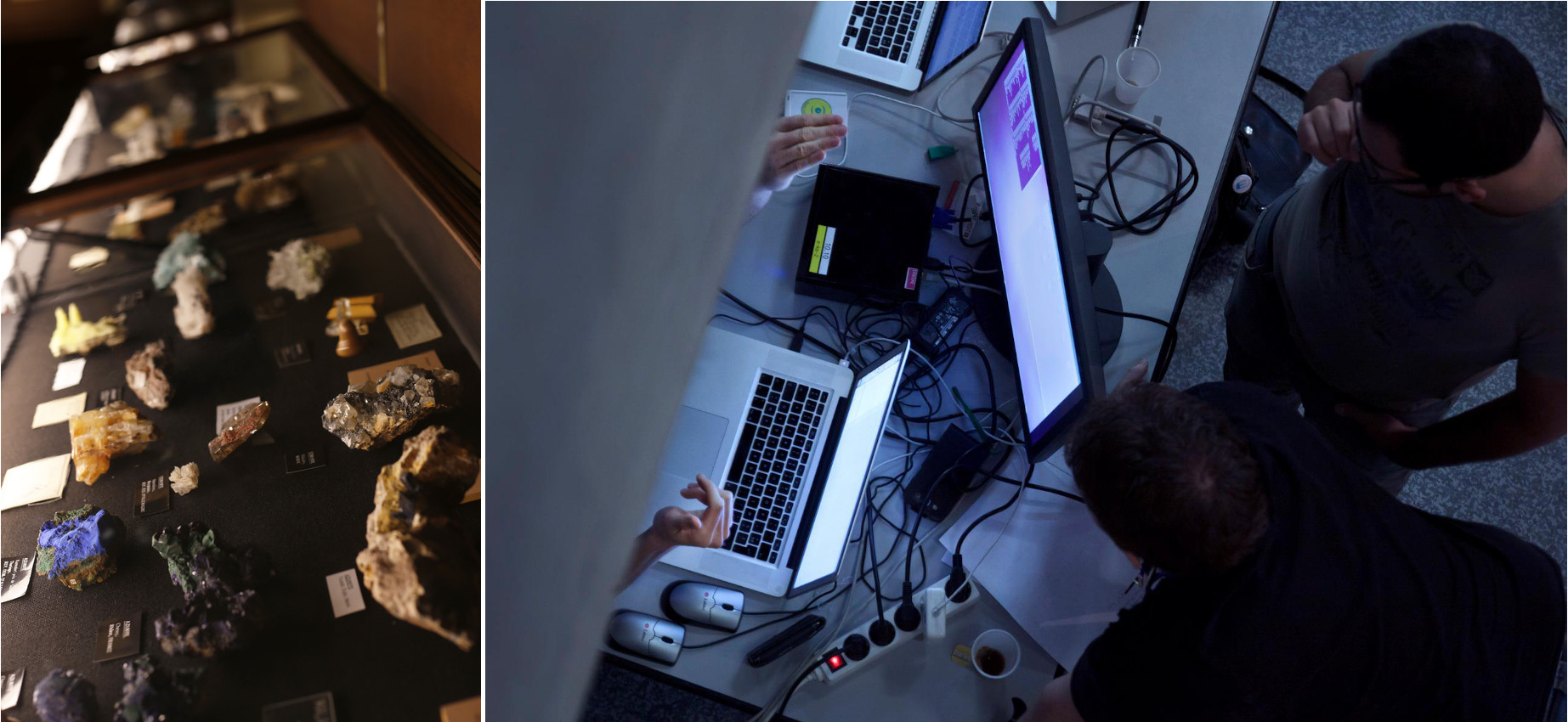 La valorisation de la collection de paléontologie va faire l'objet d'une intense réflexion les 5 et 6 novembre !